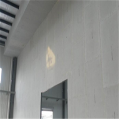 昔阳宁波ALC板|EPS加气板隔墙与混凝土整浇联接的实验研讨